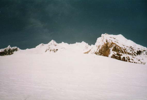 Palmer Skis